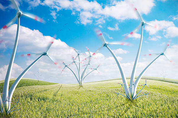 Lovely_Wind_Farm